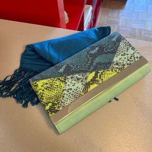 Faux Snake Clutch and Scarf